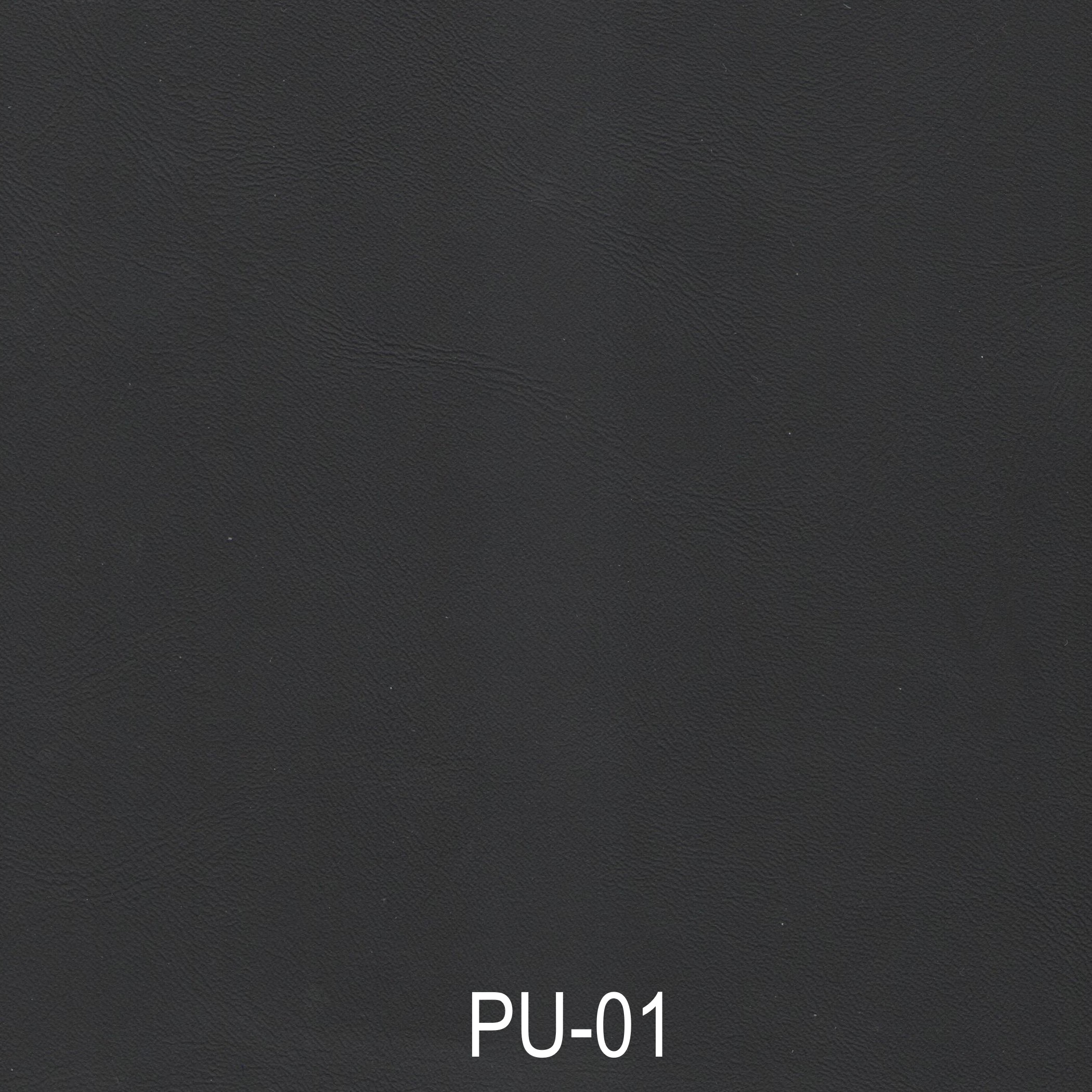 Derrière vue-PU-01 noir