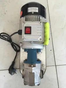 Self Priming Pump WCB Portable Electric Self Priming Small Gear Oil Pump Water Pump Made In China