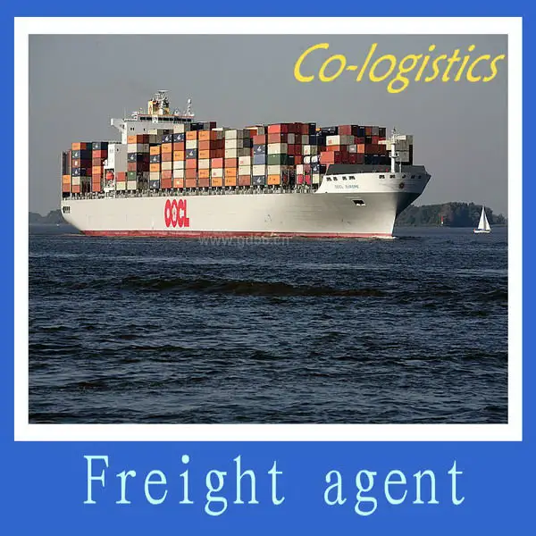 Sea Freight to UK--Gina
