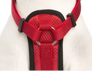 Comfort padded chain chest plate dog harness pet training pads