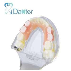 Modèle de dentisterie mixte, pour lumineux de dents manquantes, tétines primaire 1ère et 2ème génération, avec flipper, offre spéciale - Product Image 4