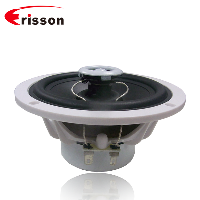 OEM Boat Speakers Manufacturers Powered 60 Watts Waterproof 5.25 Inches PP Cone Marine Speakers