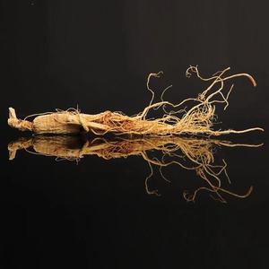 عينة مجانية عشب الجينسنغ كندا الجنس الجينسنغ - Product Image 5