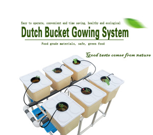 Mini Kit Compleet Tuin Hydrocultuur Tomaat Nederlandse Emmer Groeien Systeem