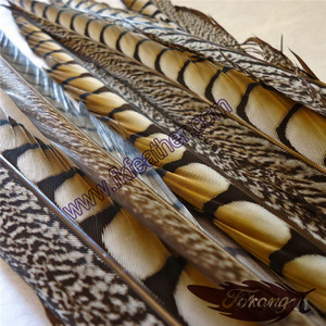 Comercio al por mayor 40-45 "Centro de Señora Amherst Pheasant Plumas de Cola Para La Venta - Product Image 5