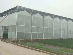 Venlo Greenhouse Commercial Green House L Venlo Polycarbonate Greenhouse With Hydroponics System Growing Tomato Manufacturer For Sale