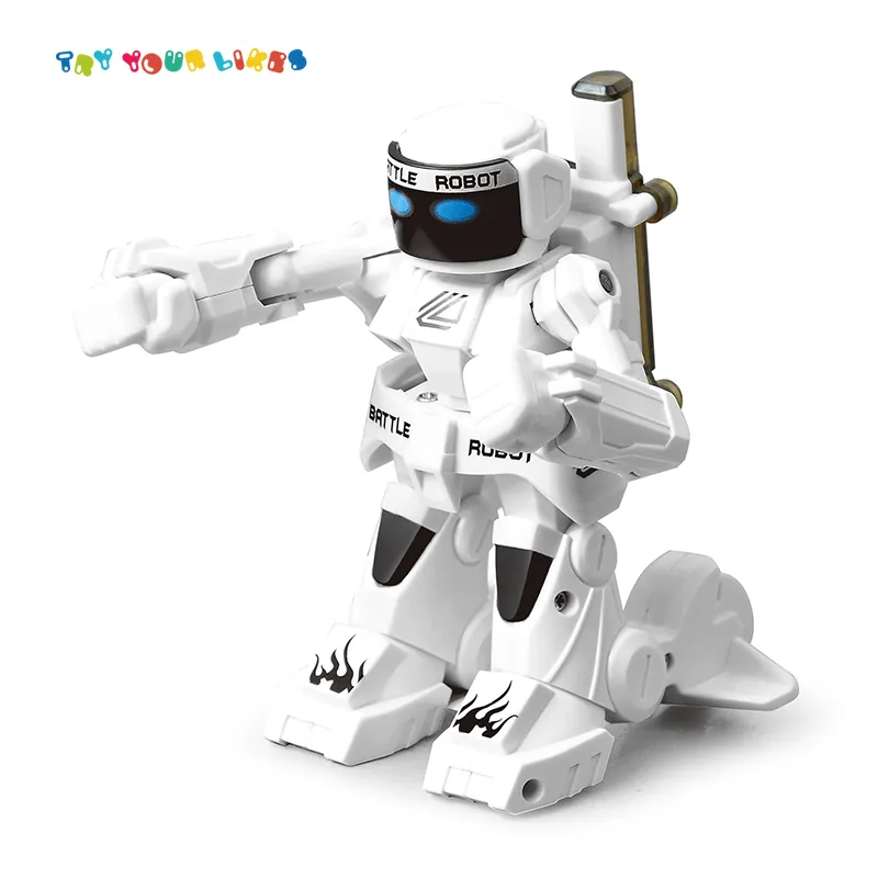 EPT Intelligent Battle Boxing Robot 2.4G Rc Hohe Qualität Niedriger Preis Fernbedienung Smart Toys Bestes Kampfroboter-Spielzeug für Kinder