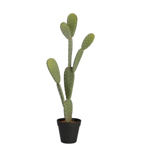 Artificielle <span class=keywords><strong>cactus</strong></span> plantes <span class=keywords><strong>grand</strong></span> en <span class=keywords><strong>grand</strong></span> en pot hôtel jardin célébration de fête cadeau décor <span class=keywords><strong>cactus</strong></span> - Product Image 1