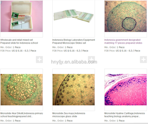 顕微鏡スライド17種類教育用準備ラボ組織学ガラス100/50/26/25/15個プラスチックまたは木製スライドボックスCN;HEN - Product Image 5