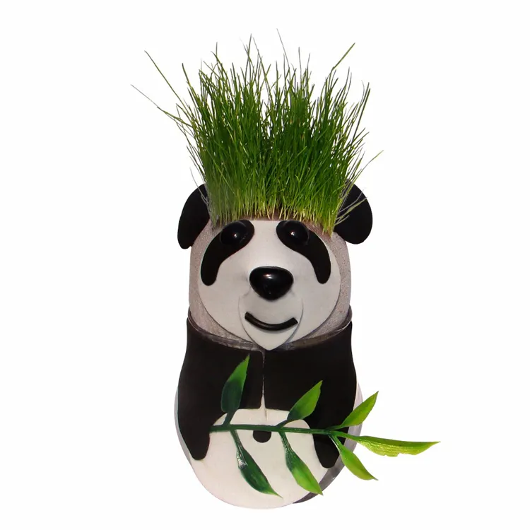Jeu de bonsaï <span class=keywords><strong>Panda</strong></span> en acier inoxydable, Pot pour plantes à cheveux, Pot de bureau