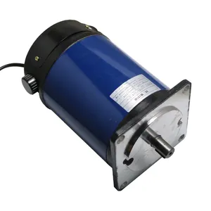 Yüksek Kaliteli Küçük Yüksek Güç Elektrik Motoru Yüksek Kalite 12 v Dc Sonsuz Dişli Motor ZYT DC Motor 700 w