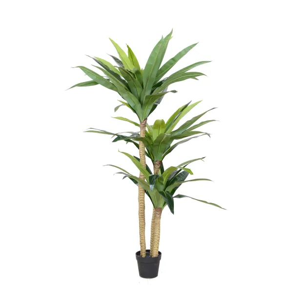 สำหรับ house/office leisure ตกแต่งบอนไซประดิษฐ์ dracaena fragrans โรงงานขายส่งคุณภาพดี