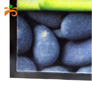 3D imprimé d'eau et la saleté bouclier aventura avant extérieure porte tapis - Product Image 2