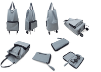 Sac de courses à roulettes amovible, chariot pliable pour appartement, pique-nique, plage, voyages et courses