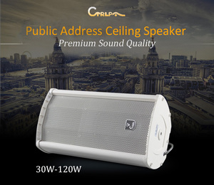 CS294 240 W 8 pulgadas impermeable al aire libre sistema de altavoces de alta potencia altavoz columna para la escuela - Product Image 1