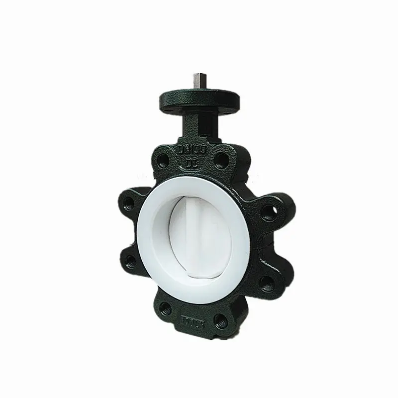 Butterfly Valve Wafer Lug and Flanged Type Concentric Valve or Double Eccentric Valves Pn10 Pn16 Pn25
