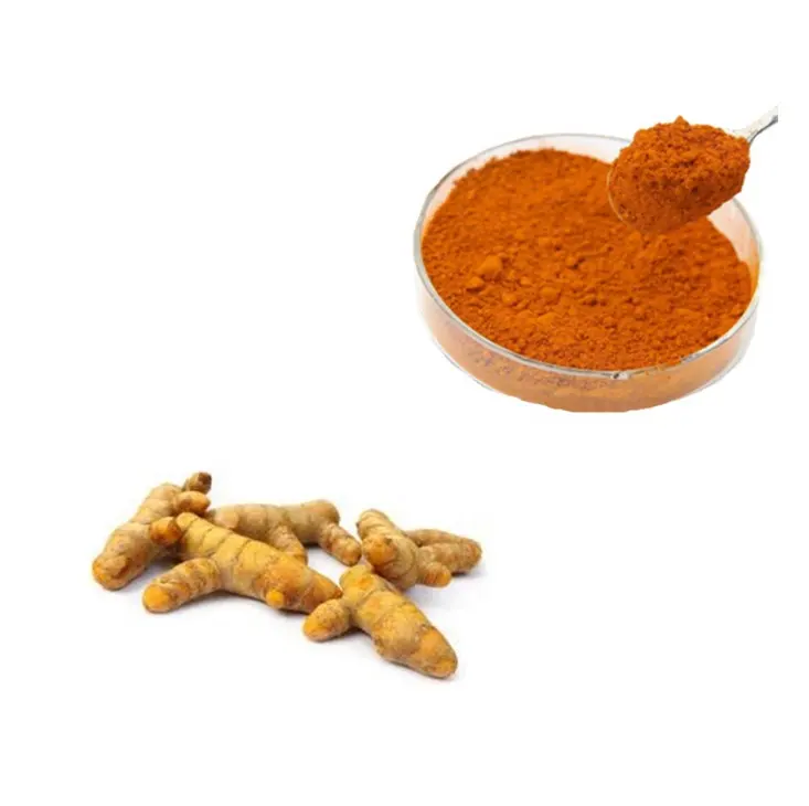 Turmeric Root Extract 95% Curcumin Extract Supplement with Best Price