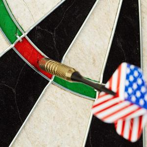 Custom bristle <strong>dartboard</strong> <strong>sisal</strong> SUNSKI support oem darts boards brown box or colour box 100pcs sk19901 - Product Image 4