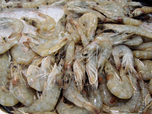 Additifs Alimentaires Biologiques Probiotiques pour Crevettes : Acides Aminés et Conservateurs pour Bassins d'Aquaculture – Élimine les Polluants Nocifs et les Déchets - Product Image 2