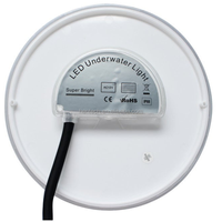 Ampoule de remplacement Pentair PAR56 12V AC/DC RGBW IP68 Dimmable pour éclairage de piscine
