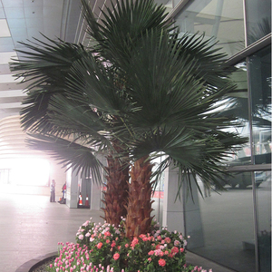 Dekoration Home Indoor beleuchtete konservierte Palmen, künstliche Pflanzen Washington <span class=keywords><strong>Palm</strong></span> Tree - Product Image 4