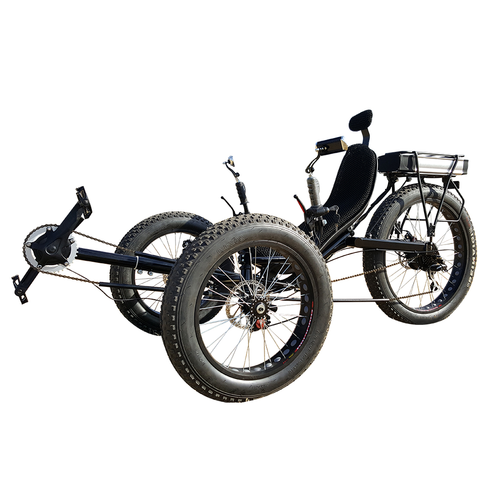 Beach Cruiser 3 Wheel Foldable Electric 