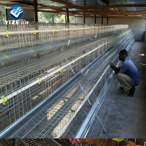 Vendita calda di Buona Qualità emirati arabi uniti farm pollame attrezzature per la vendita di pollo strato gabbia gabbia per animali batteria gabbia - Product Image 5