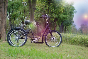 Tricycle Cargo à <span class=keywords><strong>3</strong></span> <span class=keywords><strong>roues</strong></span> pour femmes en acier et alliage d'aluminium, bicyclette à 7 vitesses, GW 7019E, 24 pouces - Product Image 2