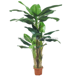 De china al por mayor de árboles artificiales, plantas artificiales jardín, banana artificial planta de árbol - Product Image 5