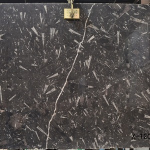 טבעי מרוקו שחור Marmor Fossile לוח שיש - Product Image 4