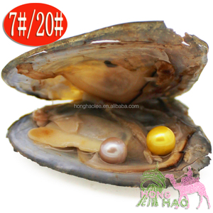 ชุดไข่มุกหอยนางรมน้ำจืด,หอยมุกพร้อมมุกด้านในของขวัญเซอร์ไพรส์ลึกลับสีไข่มุกหลากสี - Product Image 6