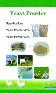 Thức ăn gia cầm men 50% 55% hot bán trong Karachi Pakistan với chất lượng tốt - Product Image 5