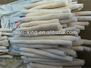 السعر الدولي للمنتجات الصينية الطازجة - Product Image 4
