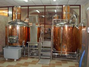 容量500L銅ステンレス鋼ストックポットホテル設備ビール工場インド中国メーカー - Product Image 4