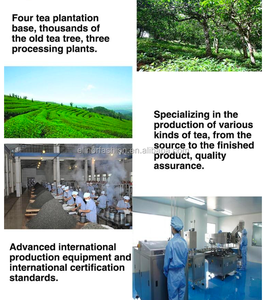 ชา Elinor ลดน้ำหนักติดฉลากส่วนตัว100% ปลอดภัยสำหรับลดน้ำหนัก - Product Image 5