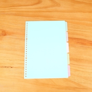 定制尺寸塑料聚丙烯彩色打孔索引卡5标签活页夹口袋文件夹 - Product Image 1