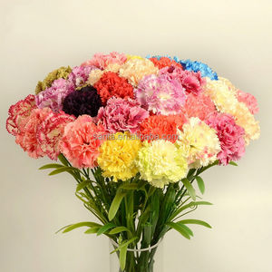 El mejor regalo para el día de la madre 18 colores artificial Clavel flor cortada precios - Product Image 2
