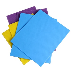 Levha/<span class=keywords><strong>pp</strong></span> oluklu plastik levha/içi boş polipropilen levha