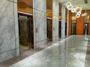 SIGLEN Thương Hiệu 8 Người Khắc thang máy thang máy Sử Dụng Văn Phòng Thương Mại, bộ phận - Product Image 5