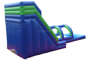 Popular nuevos gigante tobogán inflable con piscina para <span class=keywords><strong>los</strong></span> niños, inflable diapositiva mojada, tobogán inflable para adultos - Product Image 3