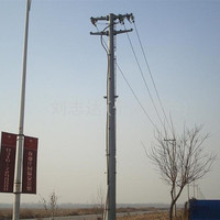 Poste eléctrico de ángulo de acero anticorrosivo GR50 al por mayor 40FT