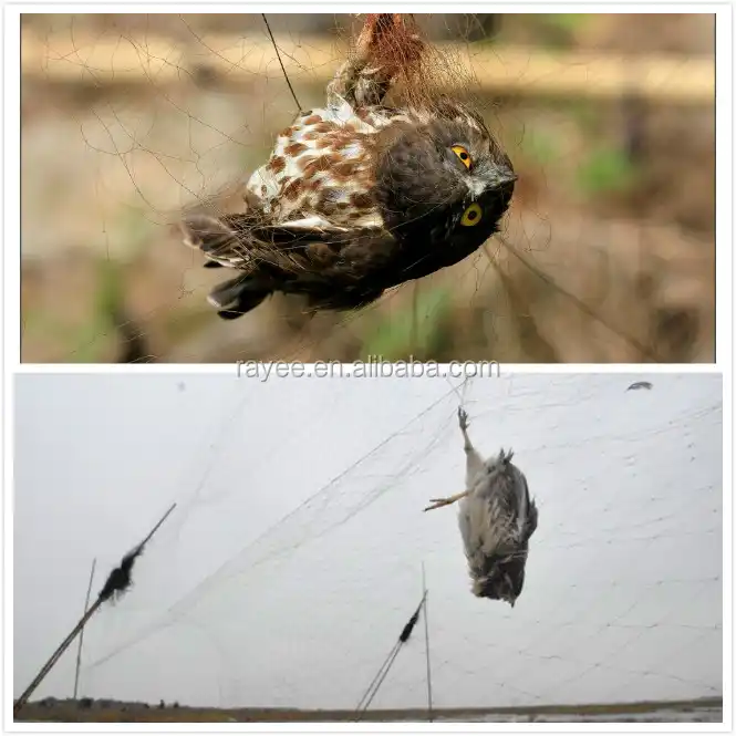 anti bird net bird mist nets