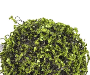 حشائش بلاستيكية الكرة النبات الأخضر الزهور الاصطناعية المنزل في الهواء الطلق أو في الأماكن المغلقة الزخرفية العشب الكرة