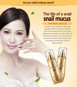 Crème <span class=keywords><strong>BB</strong></span> naturelle <span class=keywords><strong>nude</strong></span> facile à appliquer à base de mucus d'escargot OEM ODM One Spring - Product Image 3