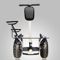 19 inç akıllı akıllı kapalı yol arabası elektrikli vurgulu kurulu Golf E elektrikli denge scooter'ı iki tekerlekli