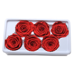 Vente en gros de roses éternelles naturelles de qualité supérieure, 70 couleurs, 4-5 5-6 cm, pour la fête des mères, la Saint-Valentin, la remise des diplômes, Noël - Product Image 4