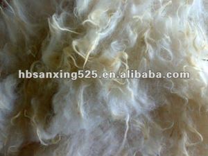 חדש ~ ~ גלם צמר, גלם כבשים צמר - Product Image 3