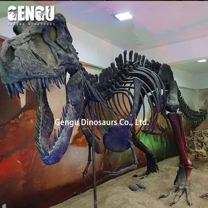 Esqueleto de dinossauro de fibra de vidro e fóssil para museu