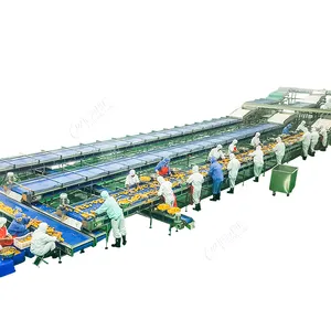 Leadworld Automatic fruit vegetable meats beans canned Canning Machine Equipment production line