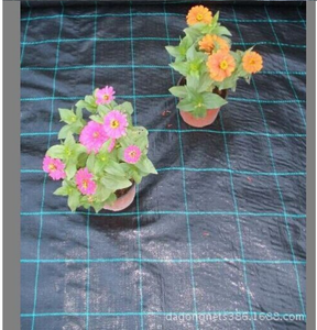 Tissu <span class=keywords><strong>paysage</strong></span> tissé, tissu de contrôle du désherbage, tissu de couverture du sol - Product Image 4